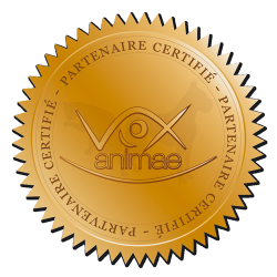 Badge partenairecertifie vox 500x500px