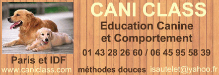 Educateur Canin et Comportementaliste, Paris, Ile de France, Vincennes, Val de Marne (94) CANI CLASS