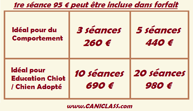 Tarifs CANI CLASS Education Comportement Paris