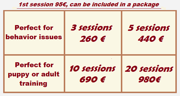 Tableau tarifs education canine angl 2